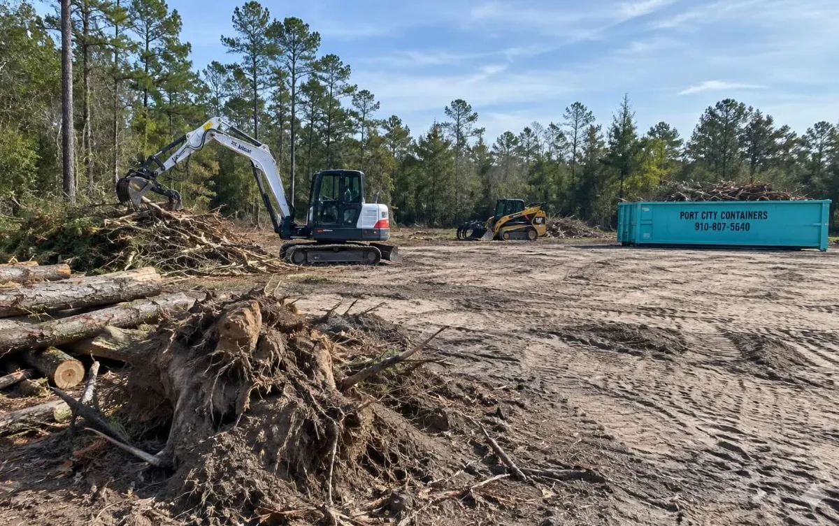 Tree Removal Services in Wilmington NC: Clearing Your Site